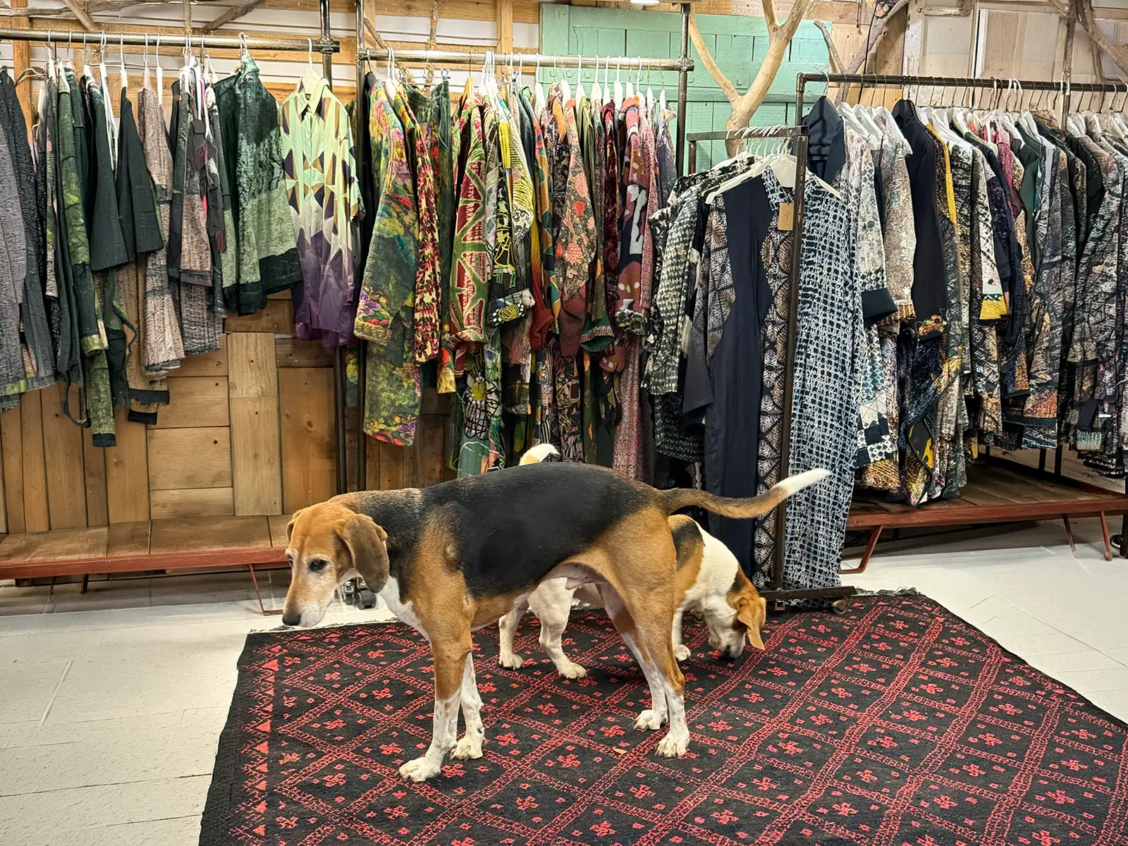 Showroom Virginie Blieck